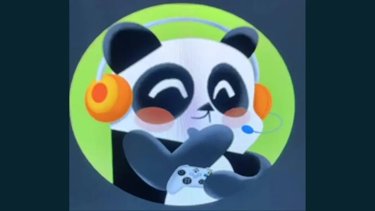 xbox 360 panda pfp